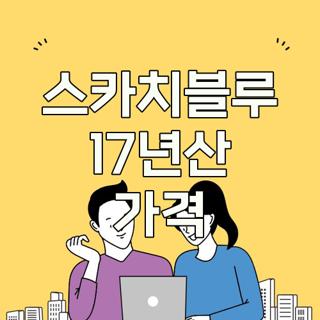 스카치블루 17년산 가격