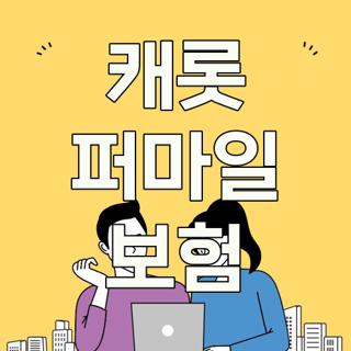 캐롯 퍼마일 보험