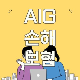 AIG 손해 보험
