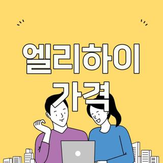 엘리하이 가격