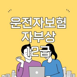 운전자보험 자부상 12급