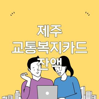제주 교통복지카드 잔액