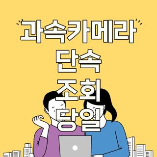 과속카메라 단속 조회 당일