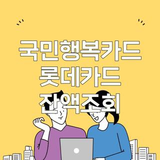 국민행복카드 롯데카드 잔액조회