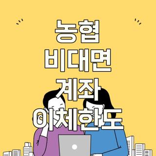 농협 비대면 계좌 이체한도