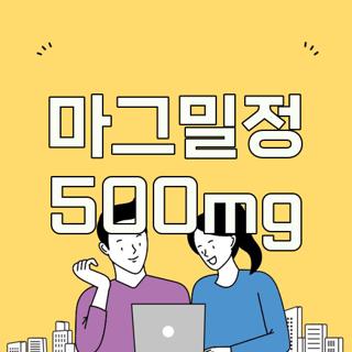 마그밀정 500mg