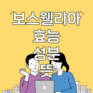 보스웰리아 효능 성분 뜻