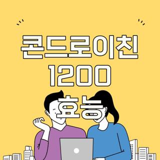 콘드로이친 1200 효능
