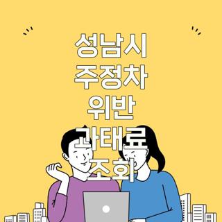 성남시 주정차 위반 과태료 조회