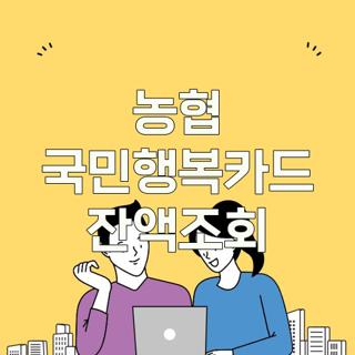 농협 국민행복카드 잔액조회
