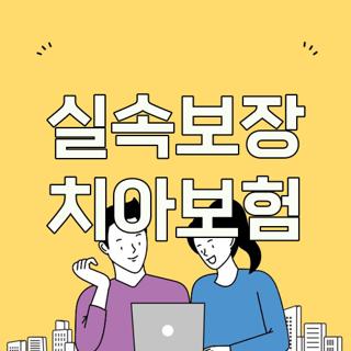 실속보장 치아보험