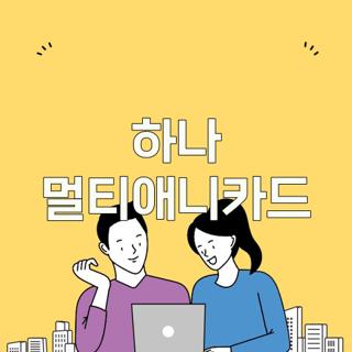 하나 멀티애니카드